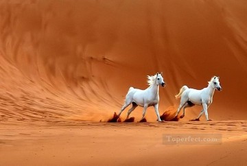 Animal Painting - dos caballos blancos en el desierto